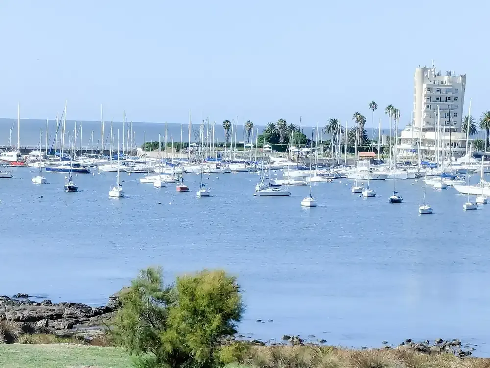 View from an apartment on Rambla del Buceo